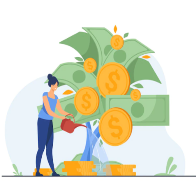 Capital growth