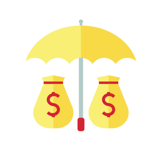 Capital preservation