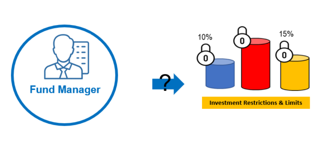 Investment restrictions and limits that can be applied to a private mandate