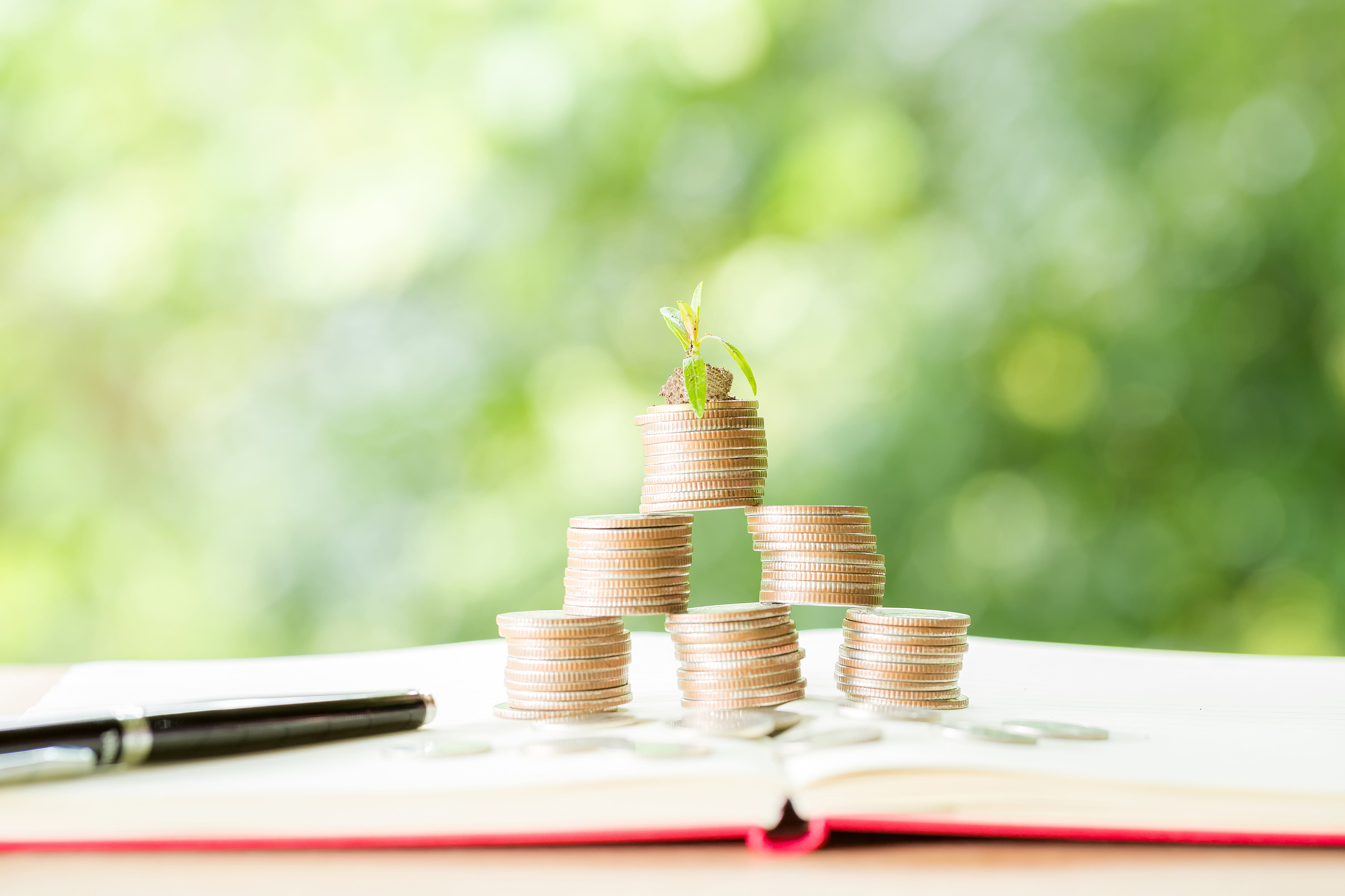 Growing your investment with us